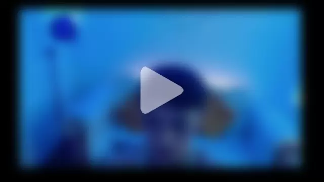 David_Fox01 photo 17