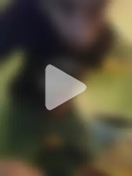 Davlupweed93 photo 16