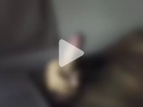 DawdledNudge photo 18