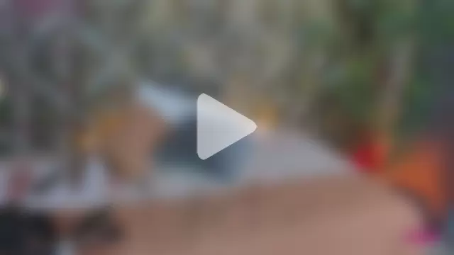 Dayanne_campbelll photo 10