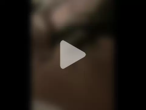 De_maskedcouple photo 7