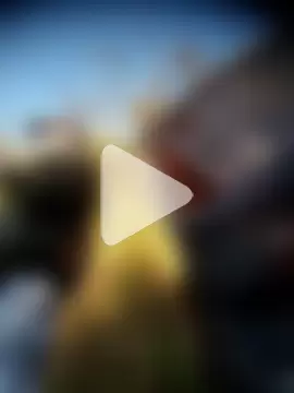 DebutingPathway photo 6