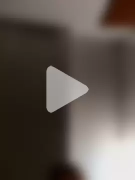 DefiniteTimor photo 2