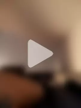 DefiniteTimor photo 3