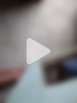 Delhisardarbull photo 3