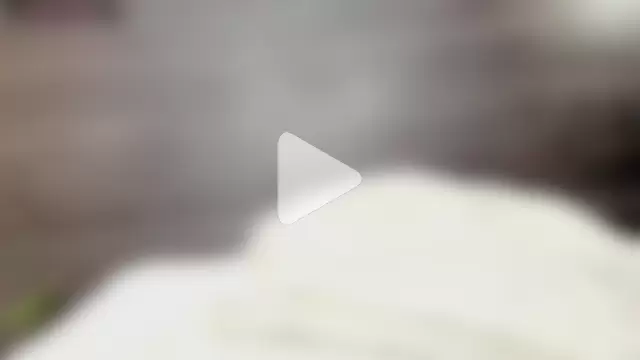 DeliciousDeeea photo 14