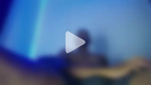 Denzo_cornell1 photo 10