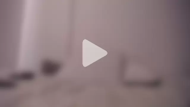 Denzo_cornell1 photo 5