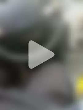 DiamanteNegro90 photo 6