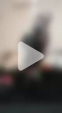 DiamondDrillBit photo 6