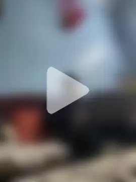 Dick_6inches_Delhi photo 2