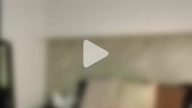 Dixie_grey1 photo 24