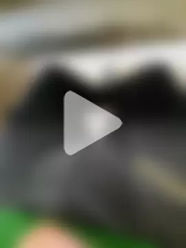 Dolceporco19 photo 2