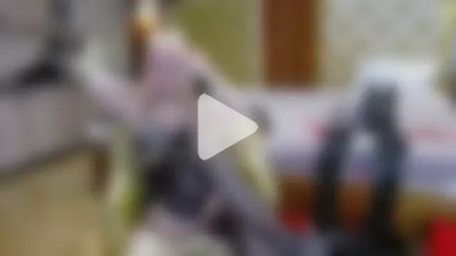 DomCaprisse photo 27