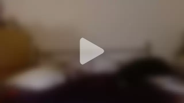 Dragonnyc@xh photo 21