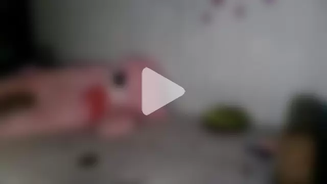 DreamKarina photo 26