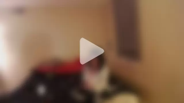 DripDropNLiqour photo 1