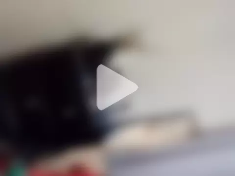 Drockdrippp photo 10