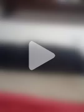 Dulcemelodia photo 12