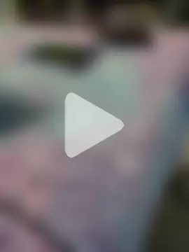 DynamicMagicalAurora photo 13