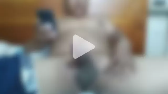 ELVERGON43267 photo 6