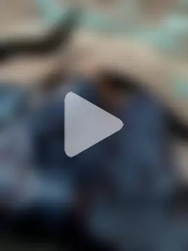 EMERKITHO_20_R photo 2