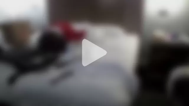 EatMyCake831 photo 18