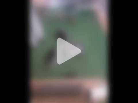 Ebinator666 photo 7