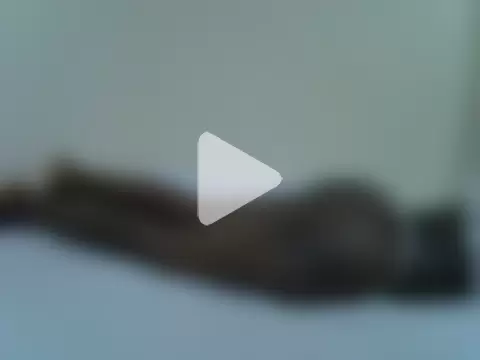 Ebony_lilie photo 13