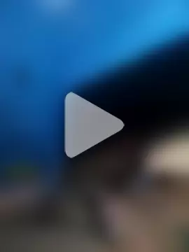 Eera-chiapas-mexico photo 2