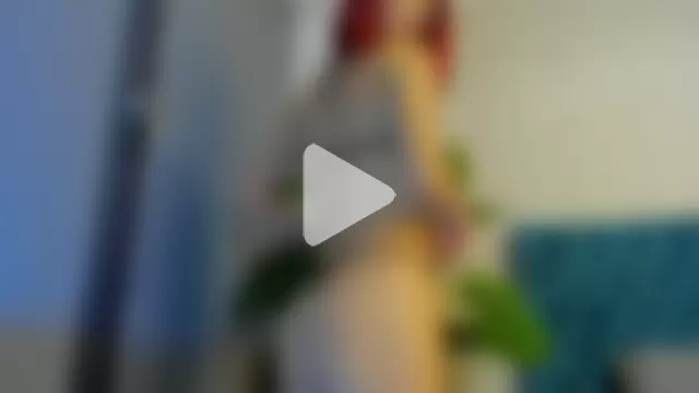 El_AngelCaido photo 6