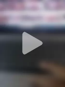 ElementaryColor80 photo 26