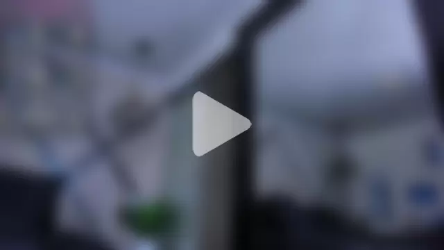 ElianFoxter photo 20