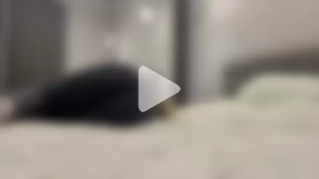 Embersweetbunny photo 1