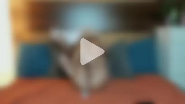 EmilyEclair photo 26