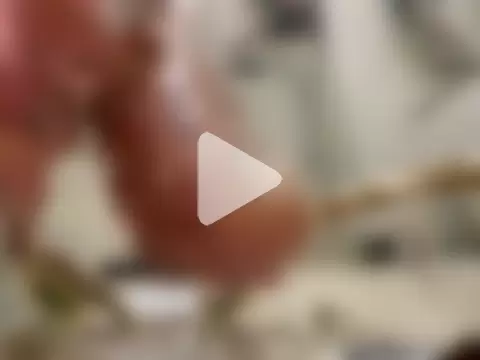 Enderson007 photo 10