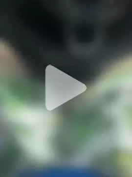 EngenheiroNovinho photo 3