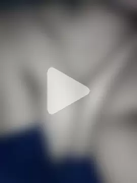 EngravedCecropia photo 28