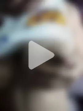 EngravedCecropia photo 24