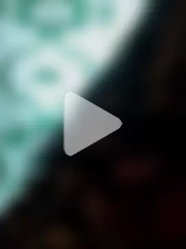 EngravedCecropia photo 17