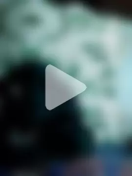 EngravedCecropia photo 5