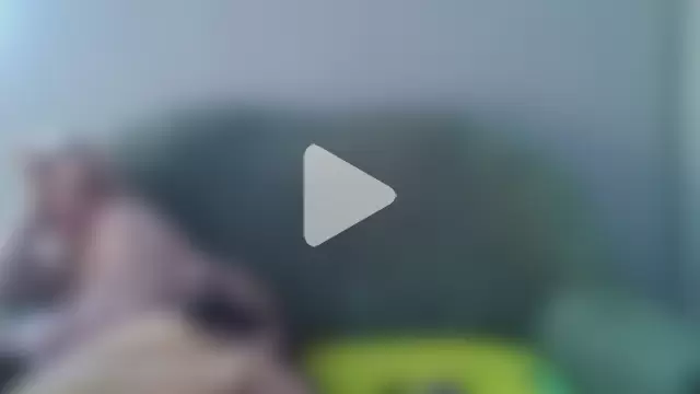 Eric_Basilio photo 16