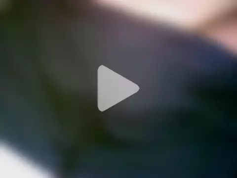 EroticMonster photo 17