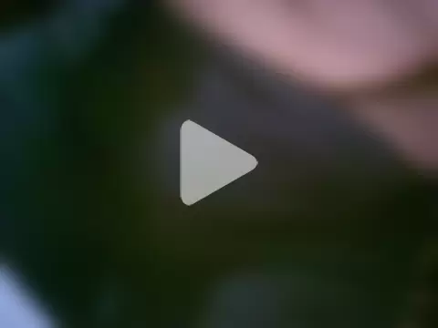 EroticMonster photo 3