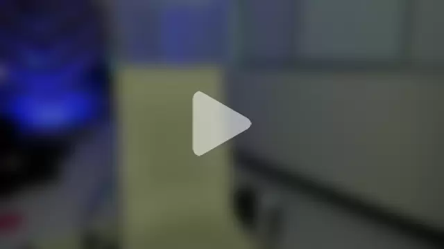 Eryx_Eriscor photo 22