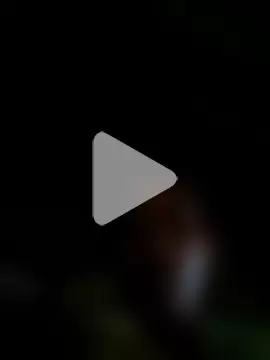 Estrella240 photo 16