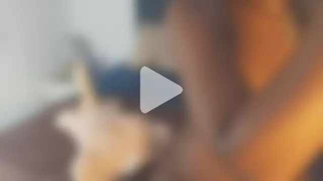 Evelonga_707 photo 4