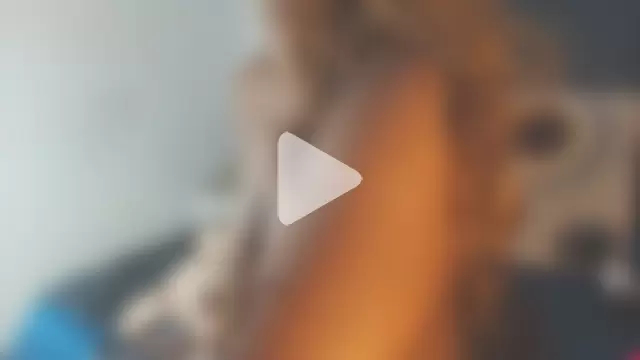 Evelonga_707 photo 2