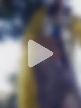 Exhibitionsplit photo 10