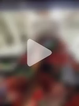 Exhibitionsplit photo 7